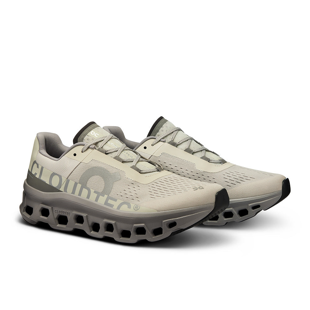 ON MEN'S CLOUDMONSTER ICE / ALLOY